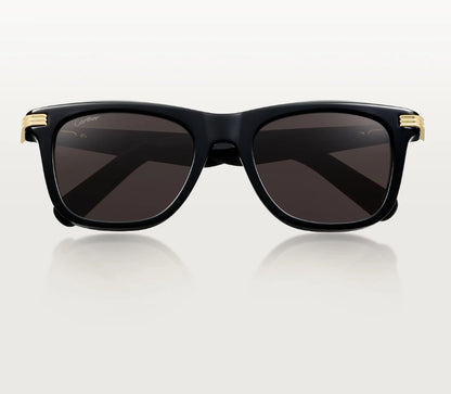 🕶️ Sunglasses – Incomparable Elegance